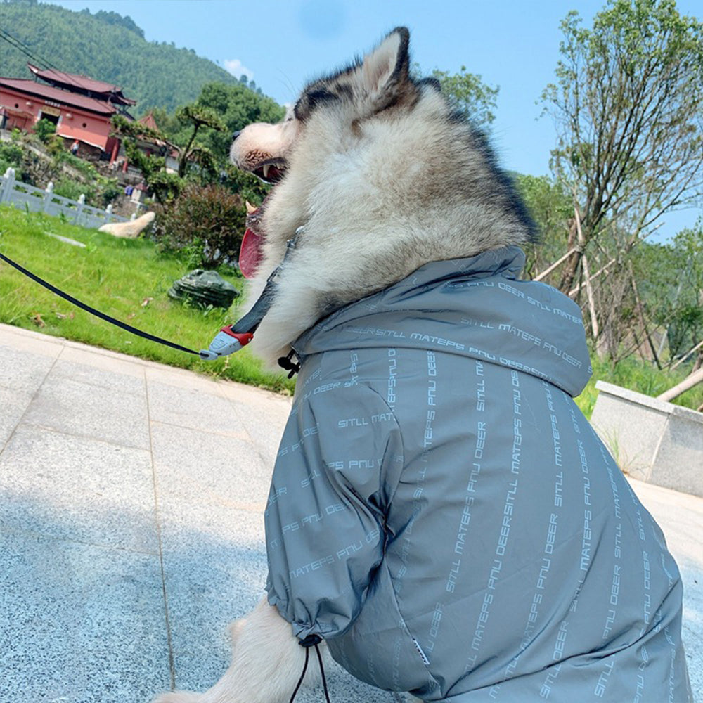 NTG parent-child windbreaker